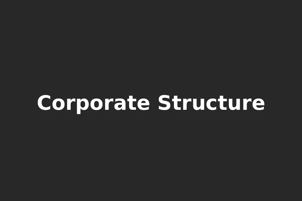 Corporate structure and accounting